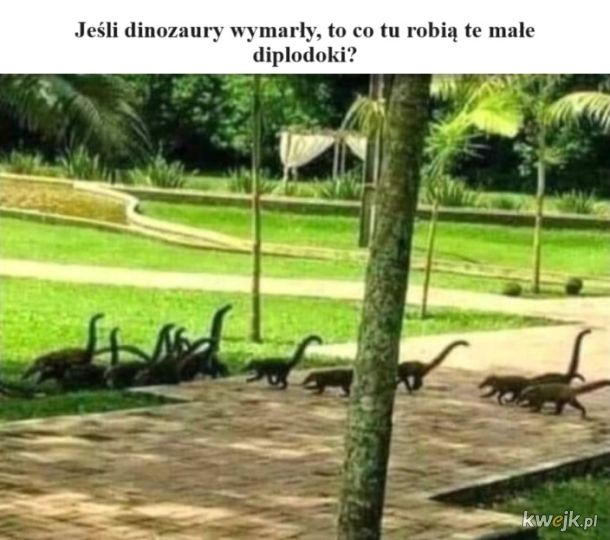 Mini dinozaury