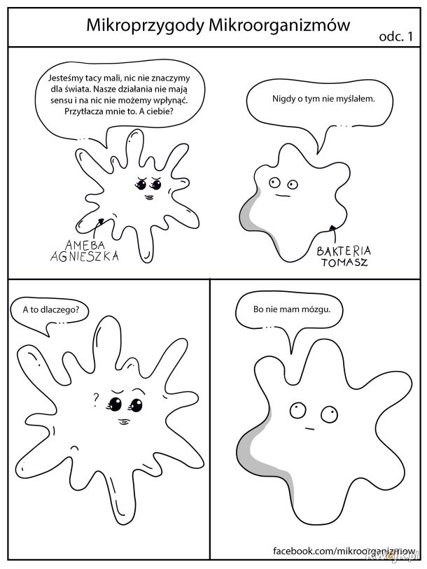 problemy bakterii