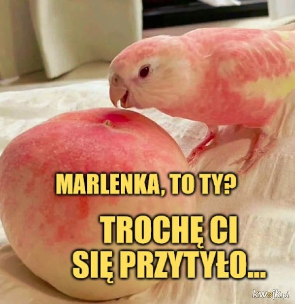 Marlenka.