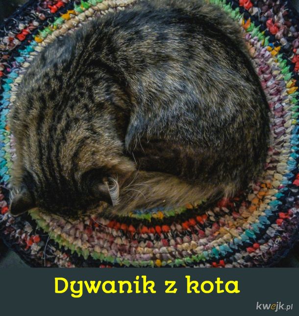 Dywanik