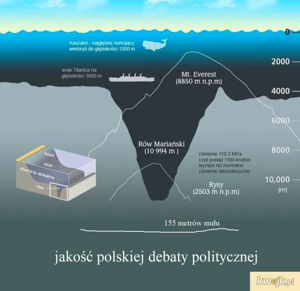 Polska debata polityczna