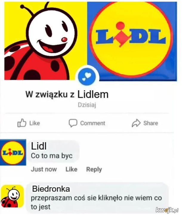 Reakcja internetu na wojnę pomiędzy Lidlem a Biedronką