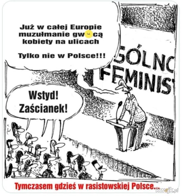 Tak widzą Polskę lewackie feministyczne postępaki ...