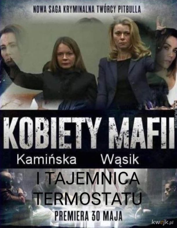 Najnowszy film Vegi "Kobiety mafii i tajemnica termostatu"