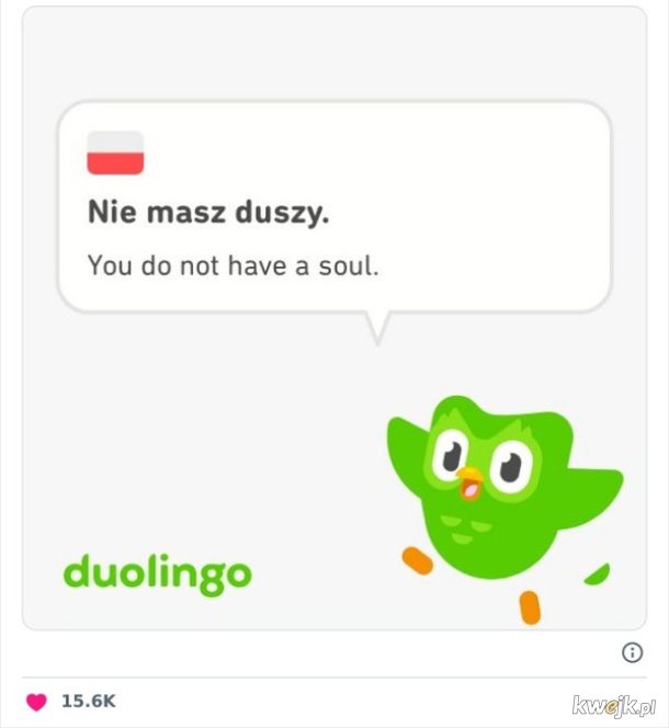 Użytkownicy Duolingo dzielą się najdziwniejszymi zdaniami, na które się natknęli podczas nauki, obrazek 16