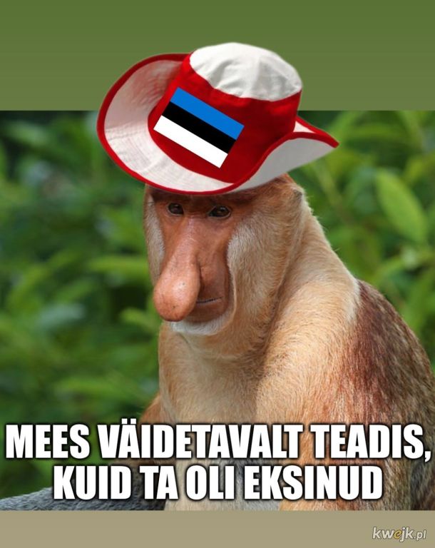 Memy po meczu Polska - Estonia, obrazek 7