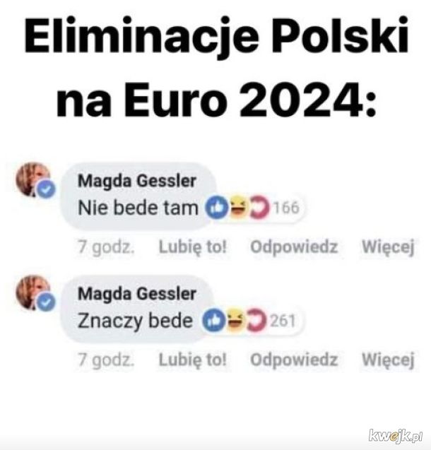 Memy po meczu Polska - Walia, obrazek 5