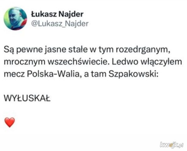 Memy po meczu Polska - Walia
