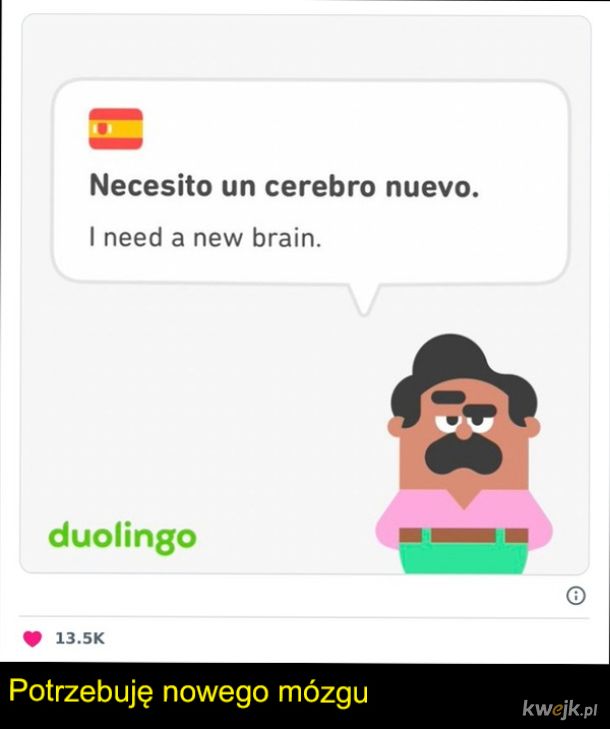 Użytkownicy Duolingo dzielą się najdziwniejszymi zdaniami, na które się natknęli podczas nauki, obrazek 17