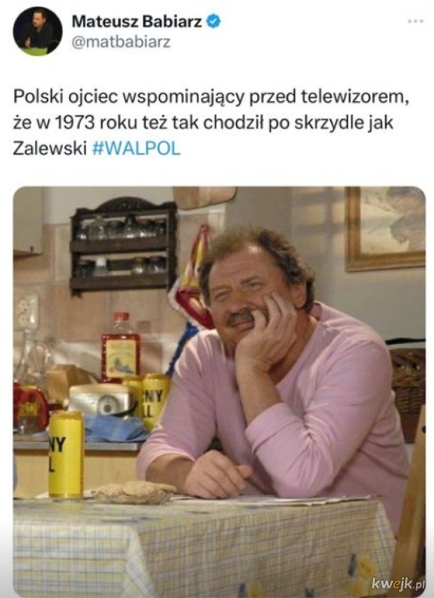 Memy po meczu Polska - Walia, obrazek 7