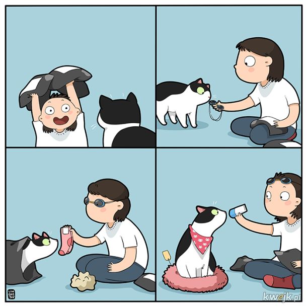 Komiksy oddające istotę życia z kotem stworzone przez Lingvistov, obrazek 5
