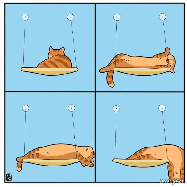 Komiksy oddające istotę życia z kotem stworzone przez Lingvistov