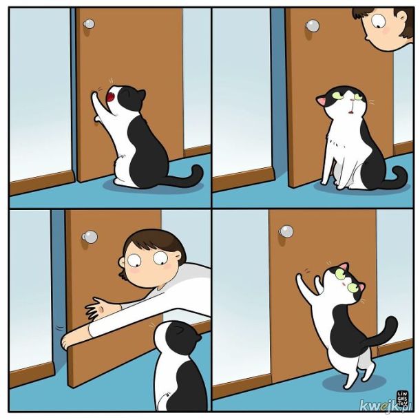Komiksy oddające istotę życia z kotem stworzone przez Lingvistov, obrazek 9