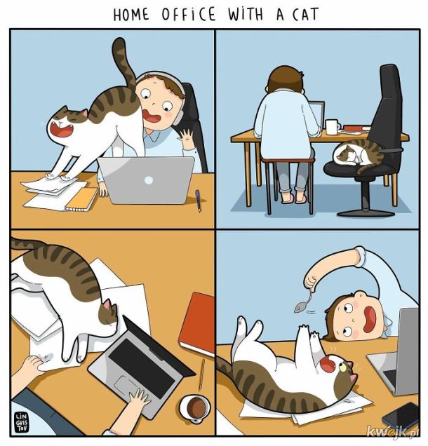 Komiksy oddające istotę życia z kotem stworzone przez Lingvistov, obrazek 17
