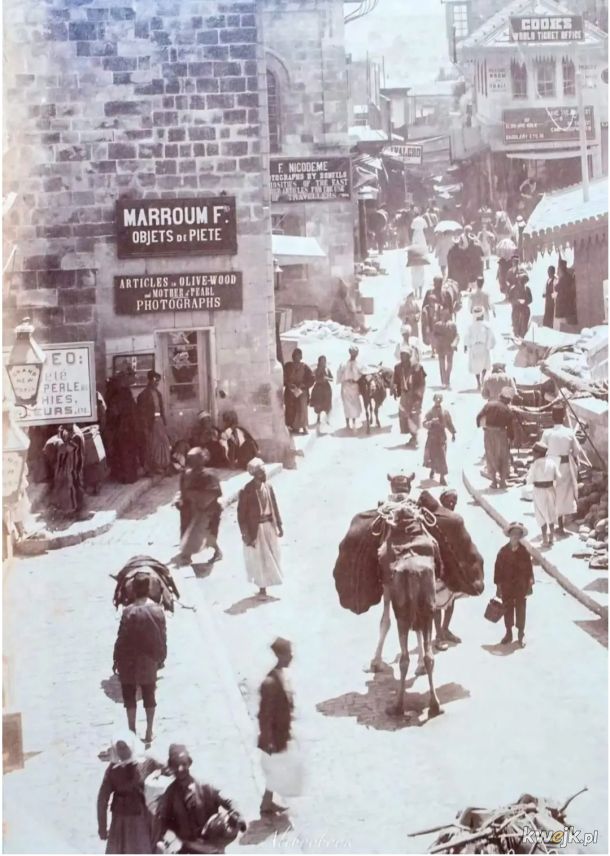 Jaffa Palestyna pod koniec xix wieku