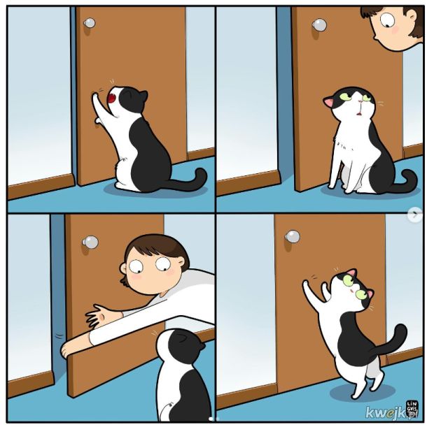 Komiksy oddające istotę życia z kotem stworzone przez Lingvistov, obrazek 16