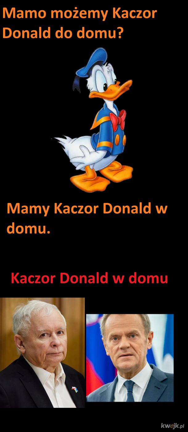 Kaczor Donald