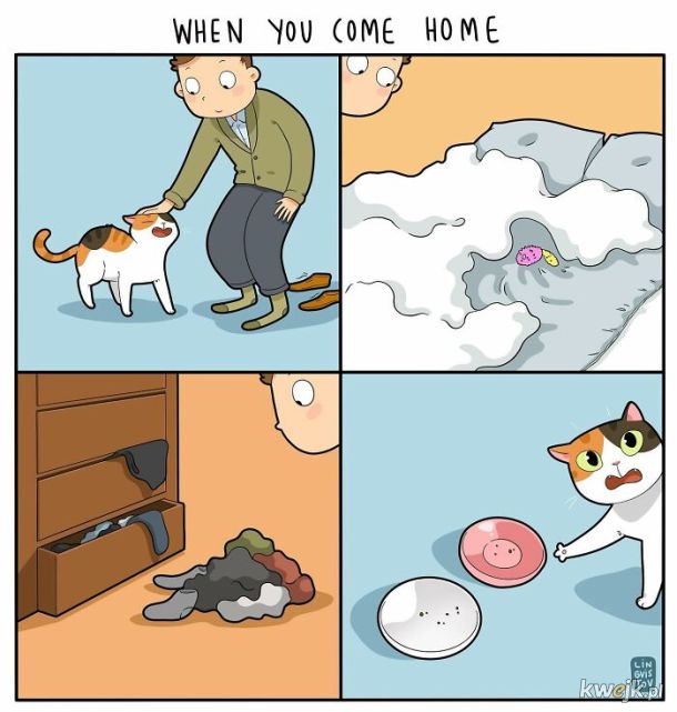 Komiksy oddające istotę życia z kotem stworzone przez Lingvistov, obrazek 8