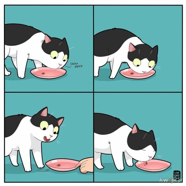Komiksy oddające istotę życia z kotem stworzone przez Lingvistov, obrazek 12