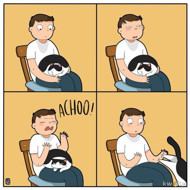 Komiksy oddające istotę życia z kotem stworzone przez Lingvistov, obrazek 11