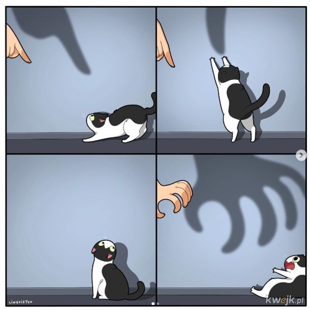 Komiksy oddające istotę życia z kotem stworzone przez Lingvistov, obrazek 14