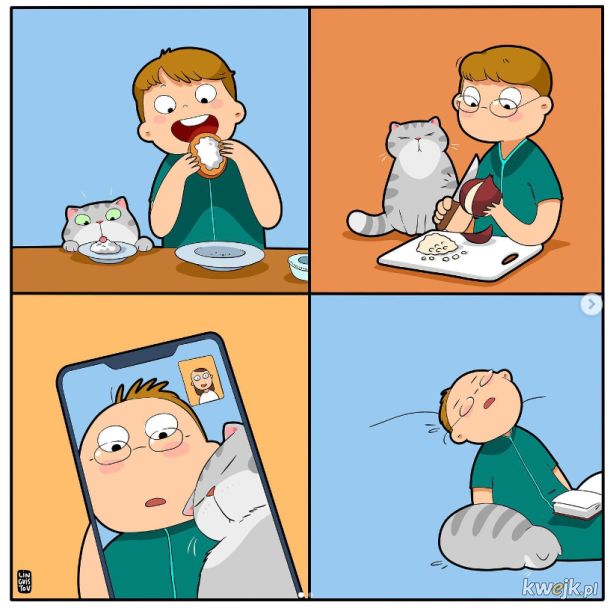 Komiksy oddające istotę życia z kotem stworzone przez Lingvistov, obrazek 12