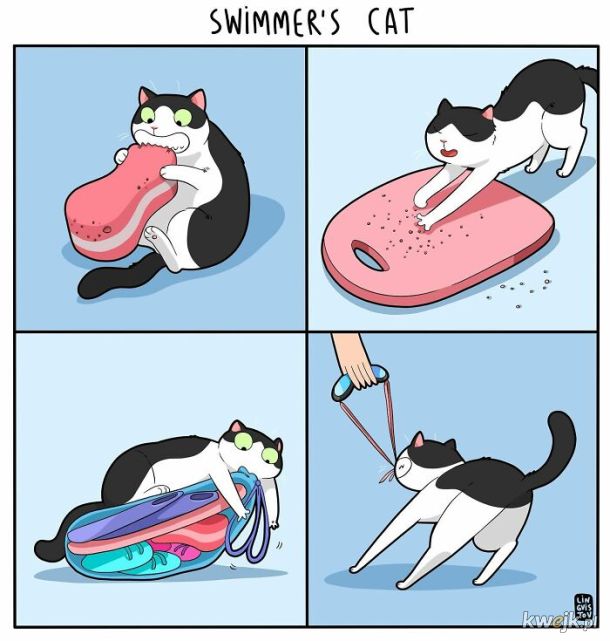 Komiksy oddające istotę życia z kotem stworzone przez Lingvistov, obrazek 10