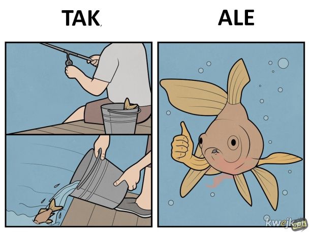 Łowienie ryb