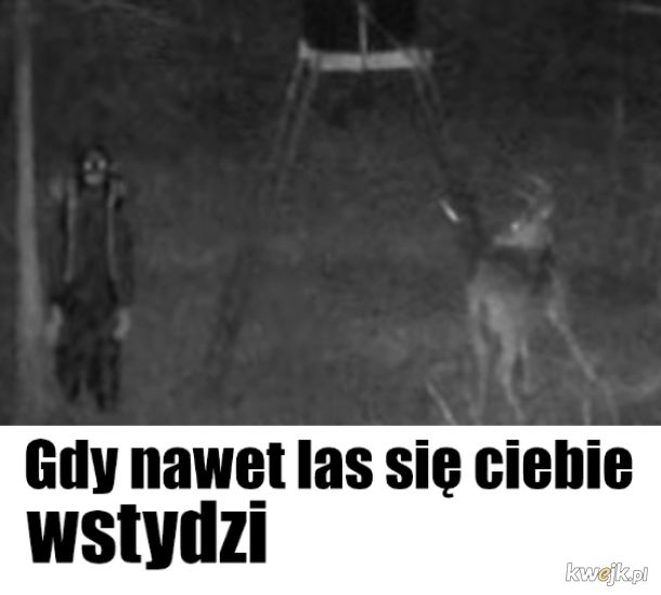 Twój stary