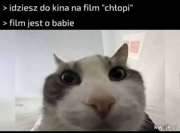 Film