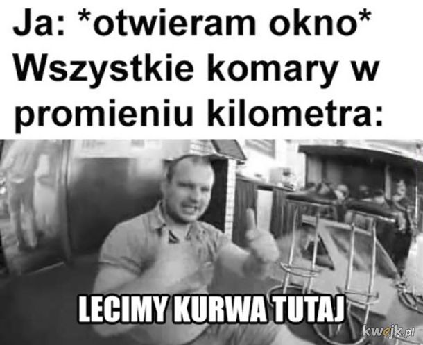 Komary