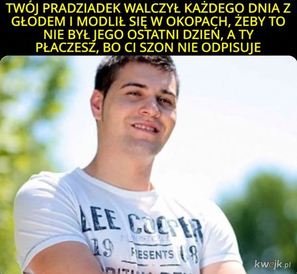 Uszy do góry