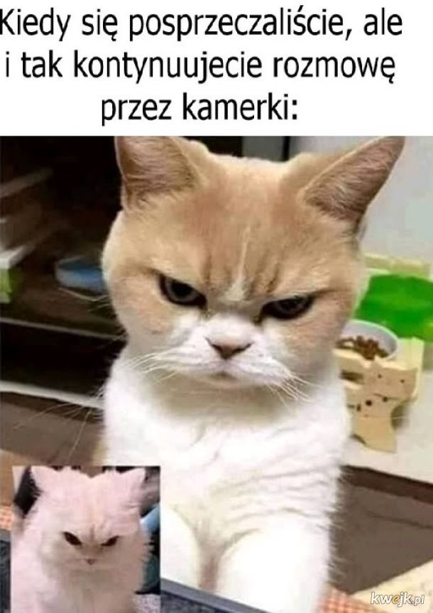 Kłótnia