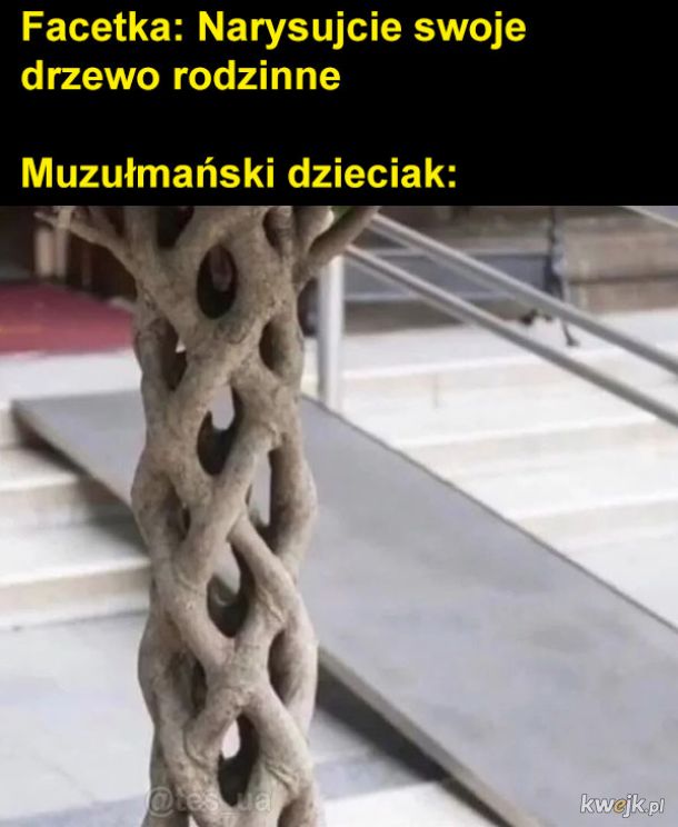 Drzewo rodzinne