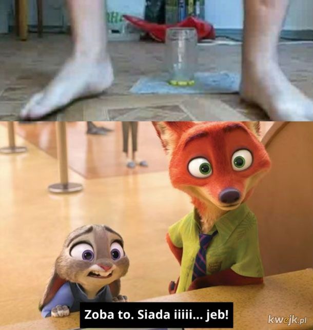 Użondlenie słojika