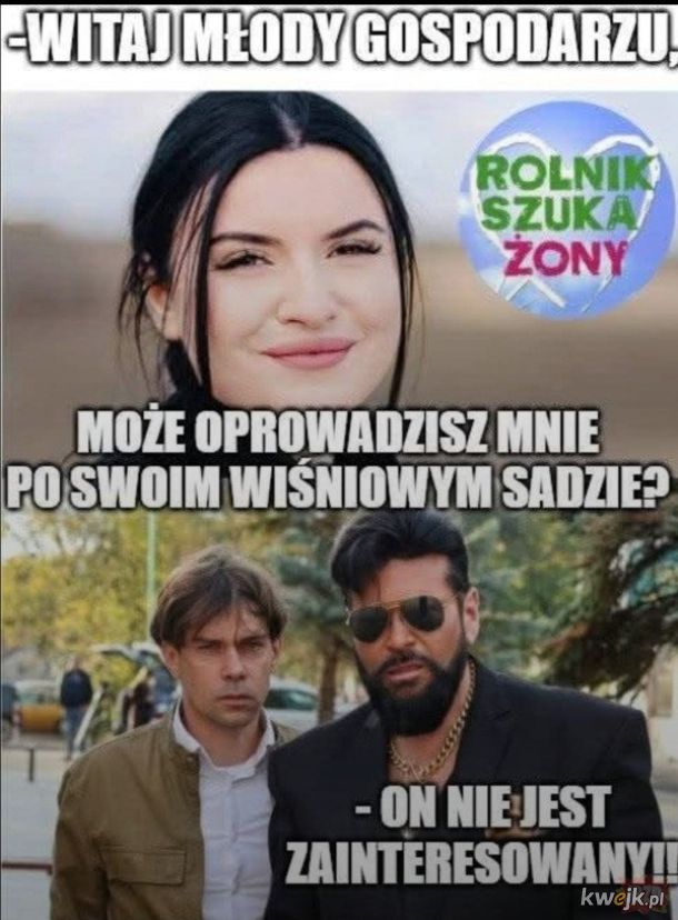 Tu na razie jest szonisko