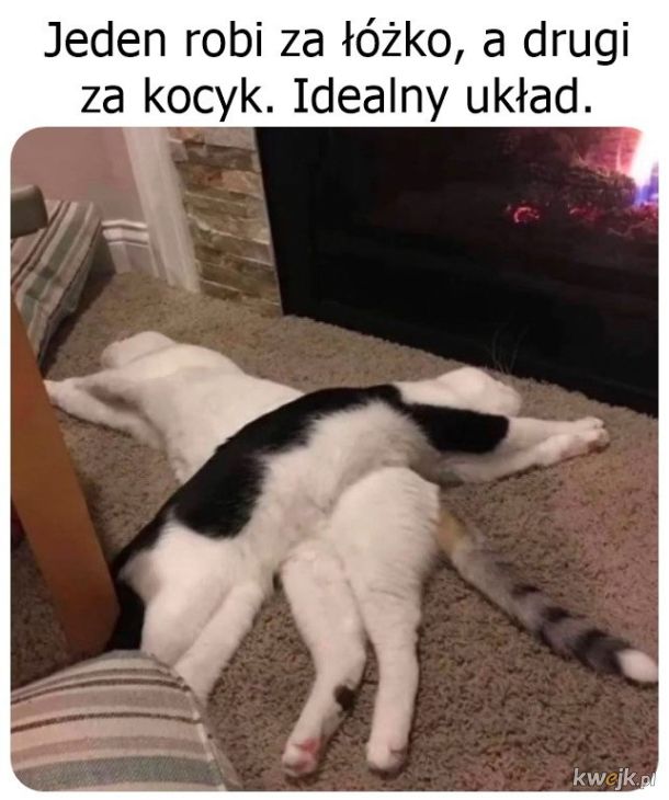 I jest ok