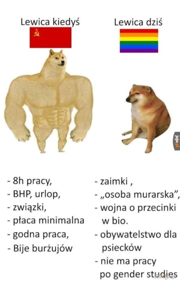 No ciekawe skąd tak niskie sondaże 