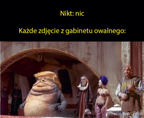 Tak to mniej więcej wygląda