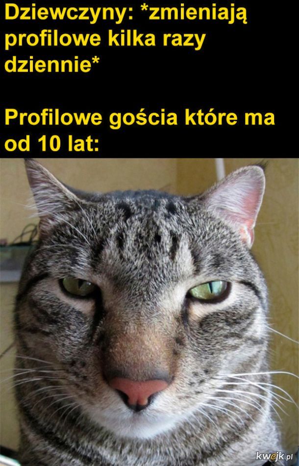 Profilowe
