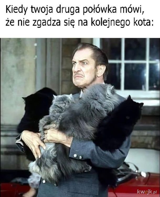 Kłótnia