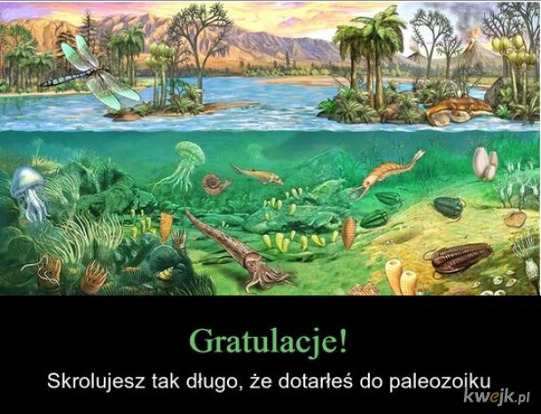 Może się zdarzyć