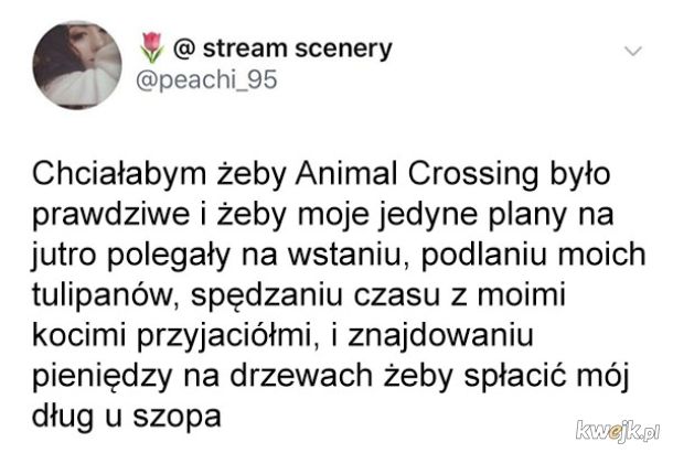 Animal Crossing