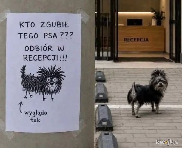 zguba