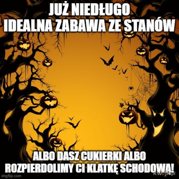 Bezbekowe