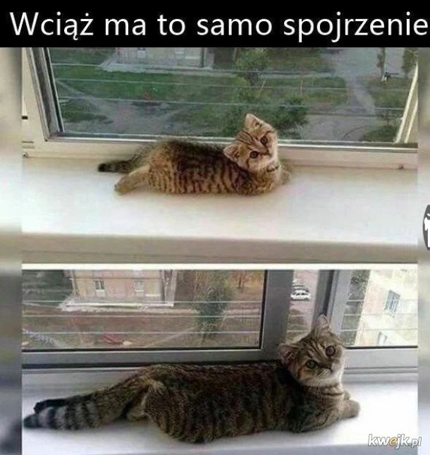 Bez zmian