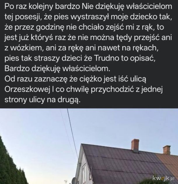 Skandal