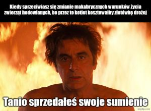 Sephirnorth