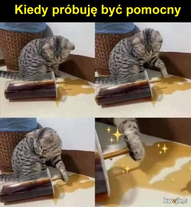 Pomoc