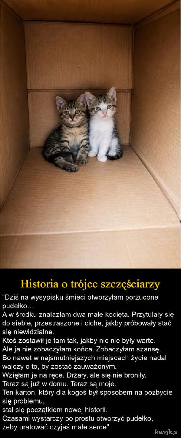 Szczęściarze